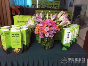 共謀發展，鵬森緣柳州客戶交談會盛大舉行，禮品花卉銷售迎春綻放