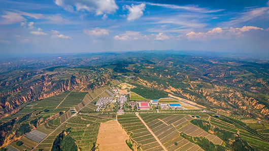 專家座談共繪戎子酒莊產業數字化升級與智能發展新藍圖 區塊鏈與大數據溯源系統的創新應用